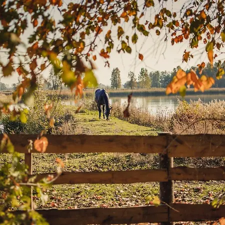 Dwor Moscibrody * 시에들체