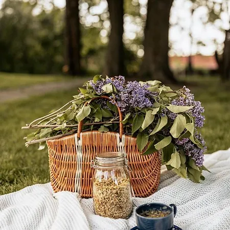 여관 Dwor Moscibrody *