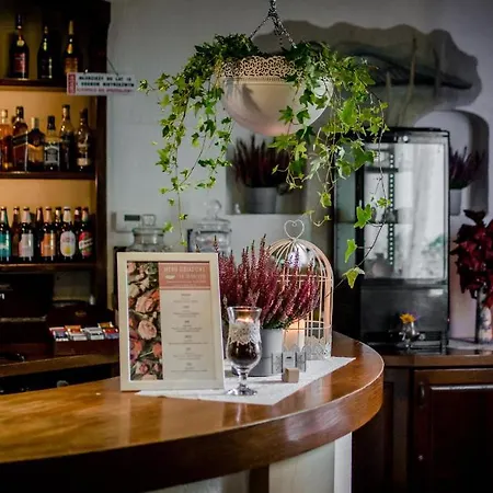 여관 Dwor Moscibrody 시에들체