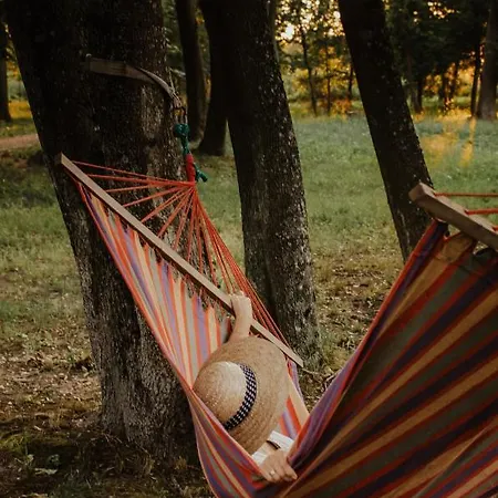 여관 Dwor Moscibrody