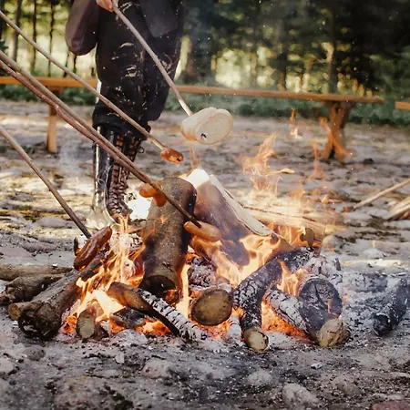 Dwor Moscibrody 여관 시에들체